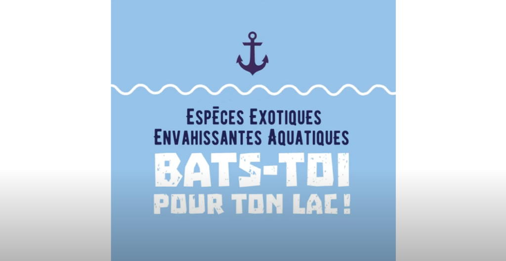 Capture d'écran d'une courte capsule vidéo ludique sensibilisant les plaisanciers à la nitelle étoilée et au lavage de leur bateau.